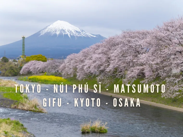 Sản phẩm Tokyo Núi Phú Sĩ Matsumoto Gifu Kyoto Osaka — Công Ty Cổ Phần Xây Dựng Thương Mại Du Lịch Hồng Ngọc Hà — MST 0301479499