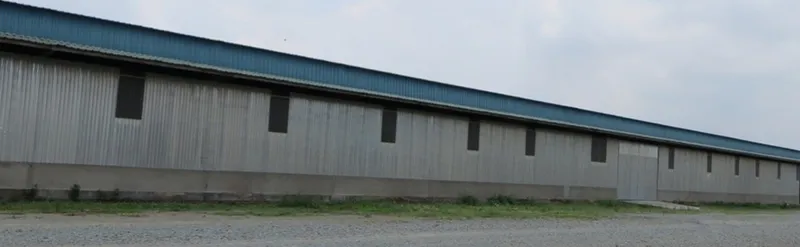 Sản phẩm 333686052995510 — Công Ty TNHH Kim Bàng — MST 0301479611