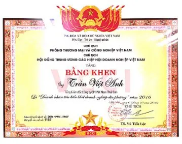 Sản phẩm Doanh nhân tiêu biểu VCCI 2016 359x283 — Bao Bì Nhựa Nam Thái Sơn - Công Ty CP Xuất Nhập Khẩu Nam Thái Sơn — MST 0301482452