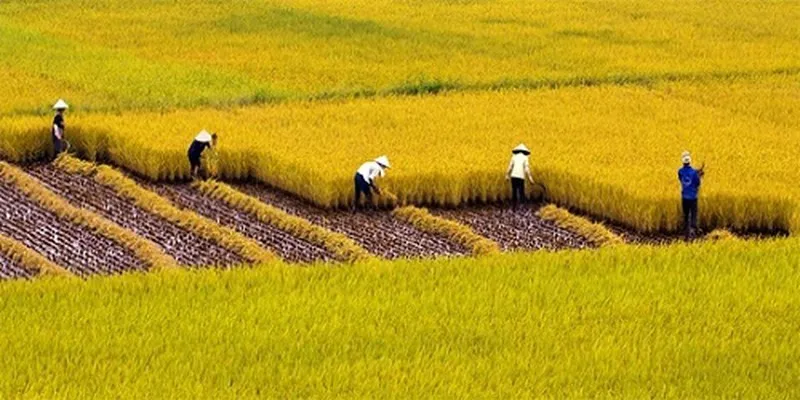 Sản phẩm 1 — Công Ty TNHH Nhựa Đài Loan — MST 0301482847
