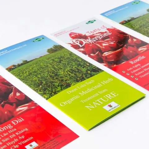 Sản phẩm hinh03 480x480 — Công Ty TNHH In Và Bao Bì Giấy Vạn Hưng — MST 0301563870