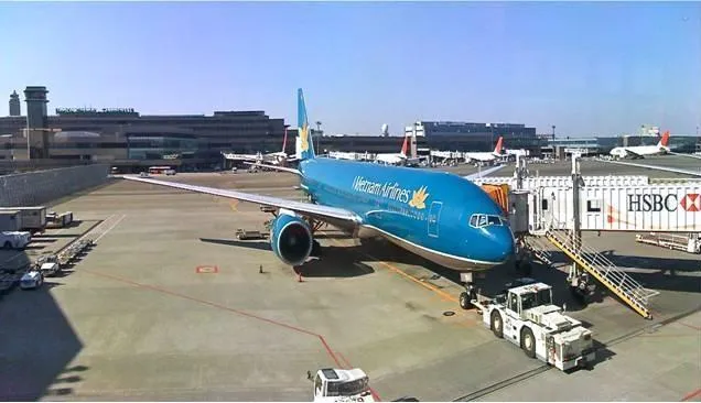 Sản phẩm 943184 — Ever Star Lines - Công Ty TNHH Dịch Vụ Tân Sao Sáng — MST 0301645474