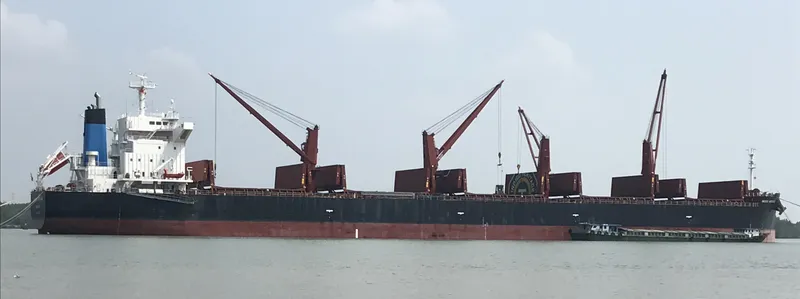 Sản phẩm 58336866720 — Công Ty TNHH Dịch Vụ Giám Định Á Châu — MST 0301662769