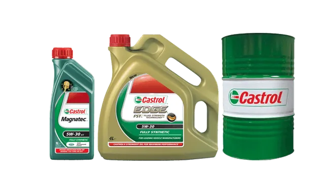 Sản phẩm castrox — Công Ty TNHH Xây Dựng TM DV Trung Hưng Thịnh — MST 0301703415