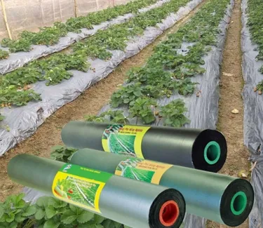 Sản phẩm 6464 7544 — Công Ty Cổ Phần Bao Bì Sài Gòn — MST 0301714946