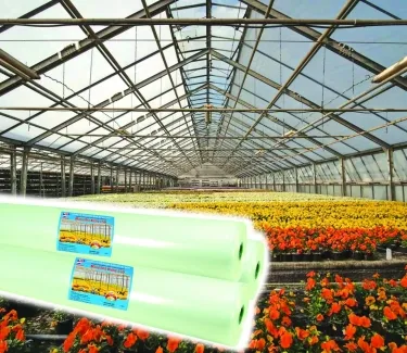 Sản phẩm cuon mang nha kieng 6320 — Công Ty Cổ Phần Bao Bì Sài Gòn — MST 0301714946