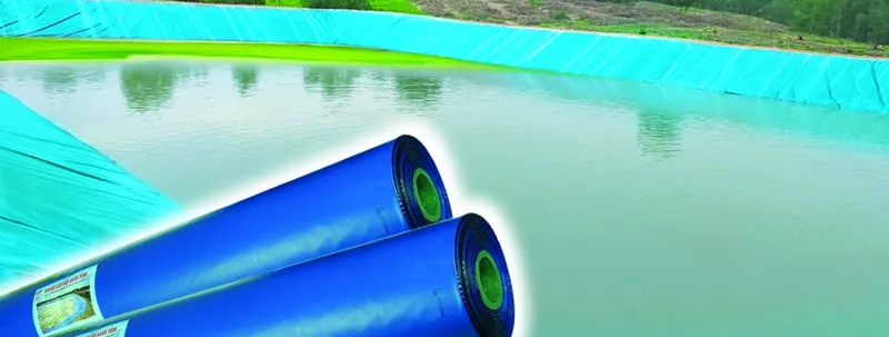 Sản phẩm mang lot ho xanh den 36590 — Công Ty Cổ Phần Bao Bì Sài Gòn — MST 0301714946