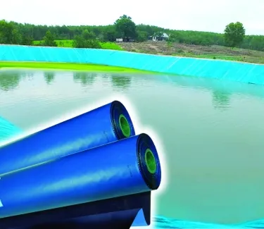 Sản phẩm mang lot ho xanh den 3926 — Công Ty Cổ Phần Bao Bì Sài Gòn — MST 0301714946