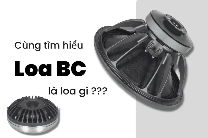 Sản phẩm Cover bai viet website Loa BC — Công Ty TNHH Thương Mại Dịch Vụ Bảo Dương — MST 0301732286