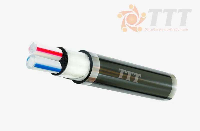 Sản phẩm AXV DSTA 2LOI — Dây Cáp Điện TTT - Công Ty TNHH SX TM Dây Và Cáp Điện Tài Trường Thành — MST 0301753889