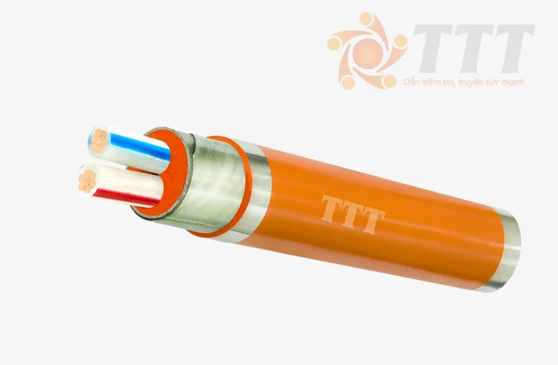 Sản phẩm FR CXVDSTA 2LOI 0.6 1kv — Dây Cáp Điện TTT - Công Ty TNHH SX TM Dây Và Cáp Điện Tài Trường Thành — MST 0301753889