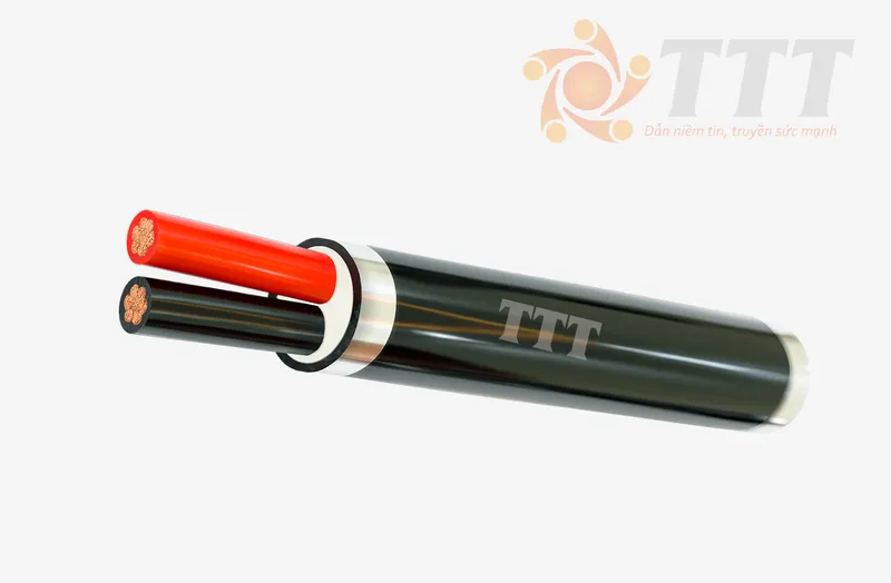Sản phẩm VVCM 2LOI 1 — Dây Cáp Điện TTT - Công Ty TNHH SX TM Dây Và Cáp Điện Tài Trường Thành — MST 0301753889