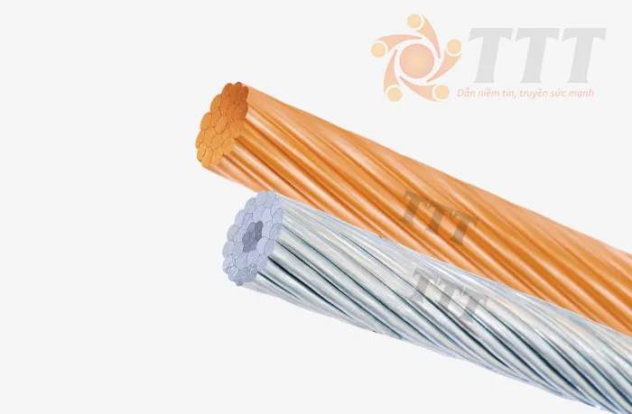 Sản phẩm cap_tran_tai_truong_thanh — Dây Cáp Điện TTT - Công Ty TNHH SX TM Dây Và Cáp Điện Tài Trường Thành — MST 0301753889