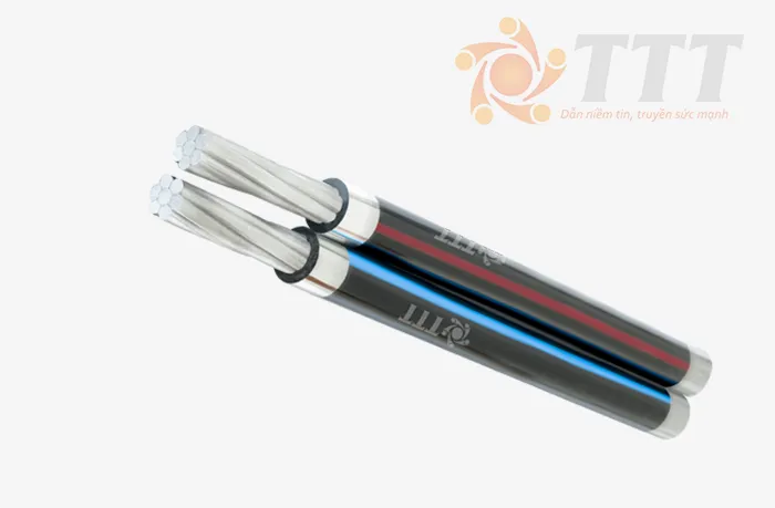 Sản phẩm cap_voan_xoan_loi_nhom_tai_truong_thanh — Dây Cáp Điện TTT - Công Ty TNHH SX TM Dây Và Cáp Điện Tài Trường Thành — MST 0301753889