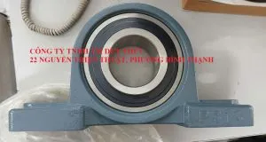 Sản phẩm ukp318 p2 300x160 — Gối Đỡ Vòng Bi Duy Thức - Công Ty TNHH Thương Mại Duy Thức — MST 0301831978