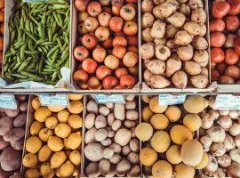 Sản phẩm dichvuasiacontrolgiamdinhnongsan 9545 — Công Ty Cổ Phần Giám Định Asiacontrol — MST 0301882309