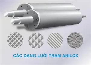 Sản phẩm timthumb (16) — Công Ty Cổ Phần Hoàng Hạc — MST 0301895523