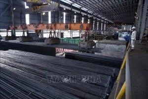 Sản phẩm hoa phat 22421n 648x432 1 300x200 — Thép Thành Lợi - Công Ty TNHH Thành Lợi — MST 0301899694