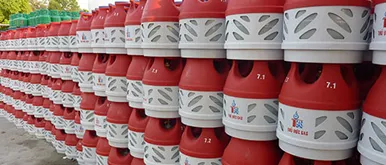 Sản phẩm gioithieu 1883 — Gas Thủ Đức - Công Ty CP Gas Thủ Đức — MST 0301928874