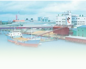Sản phẩm nganhnghe4 300x242 — Công Ty TNHH Hào Hưng — MST 0301952517