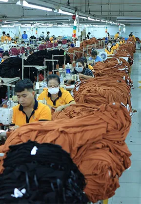 Sản phẩm linh vuc pic 5 — May Trường Dương - Công Ty TNHH Sản Xuất Thương Mại Dịch Vụ Trường Dương — MST 0302043289
