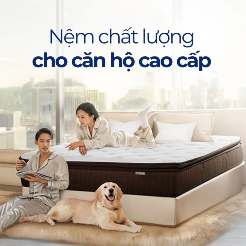 Sản phẩm nem cho can ho cao cap_1 — Công Ty TNHH Thương Mại Và Sản Xuất Nệm Mousse Liên Á — MST 0302082048