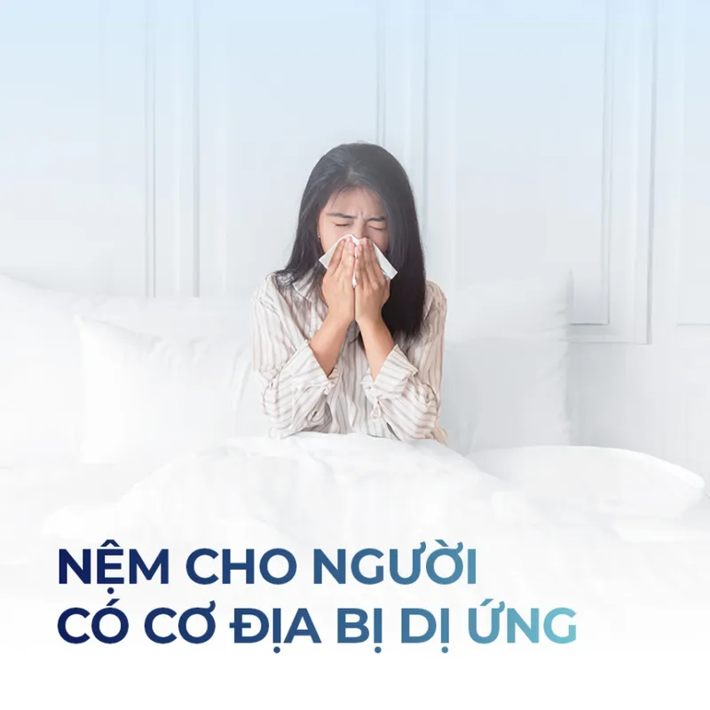 Sản phẩm nem cho nguoi co co dia bi di ung_1 — Công Ty TNHH Thương Mại Và Sản Xuất Nệm Mousse Liên Á — MST 0302082048