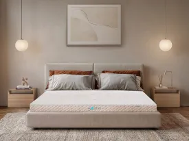 Sản phẩm 5zone legacy_thumbweb — Công Ty TNHH Thương Mại Và Sản Xuất Nệm Mousse Liên Á — MST 0302082048
