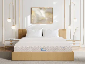 Sản phẩm 5zonepre main thumn — Công Ty TNHH Thương Mại Và Sản Xuất Nệm Mousse Liên Á — MST 0302082048