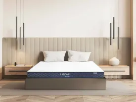 Sản phẩm ladomepremium main thumn — Công Ty TNHH Thương Mại Và Sản Xuất Nệm Mousse Liên Á — MST 0302082048