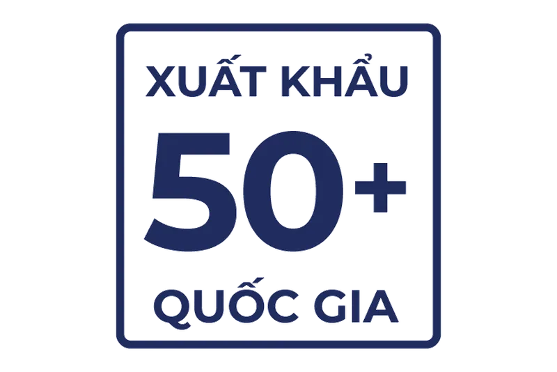 Sản phẩm xuat khau 50 quoc gia_1 — Công Ty TNHH Thương Mại Và Sản Xuất Nệm Mousse Liên Á — MST 0302082048