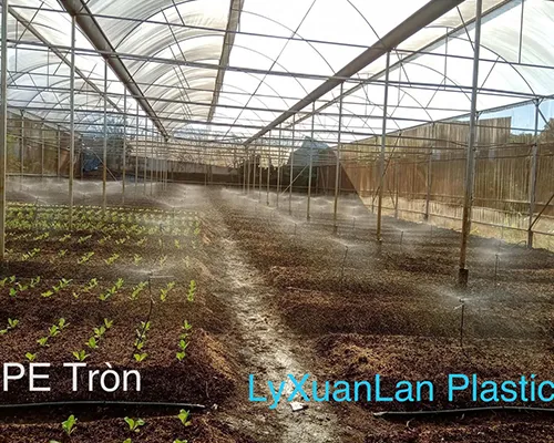 Sản phẩm nganh c — Công Ty TNHH Sản Xuất Nhựa Và Thương Mại Lý Xuân Lan — MST 0302103298