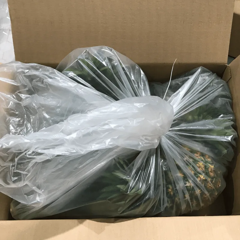 Sản phẩm san pham sancopack 13 — SANCOPACK - Công Ty Cổ Phần Thương Mại & Dịch Vụ Quốc Tế Sao Nam — MST 0302128172