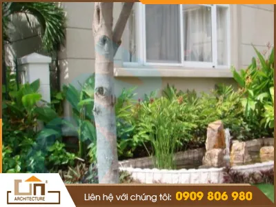 Sản phẩm san vuon — Xây Dựng Giang Nam - Công Ty Cổ Phần Tư Vấn Thiết Kế Xây Dựng Và Thương Mại
Giang Nam — MST 0302145298
