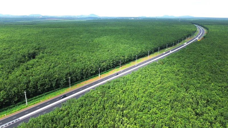 Sản phẩm 43c16c1e425709ccbf2332dbfdb432dd — Cao Su Thành Long - Công Ty TNHH Sản Xuất Thương Mại Thành Long — MST 0302158441