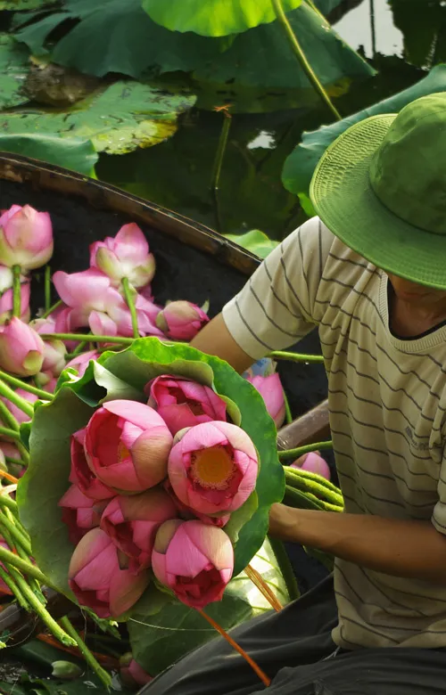 Sản phẩm kham pha vietnam — Công Ty TNHH Thương Mại Dịch Vụ Du Lịch Hạnh Dung — MST 0302166650