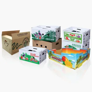 Sản phẩm Vegie carton 300x300 — Bao Bì Giấy Mai Thư - Công Ty Cổ Phần Bao Bì Mai Thư — MST 0302177349