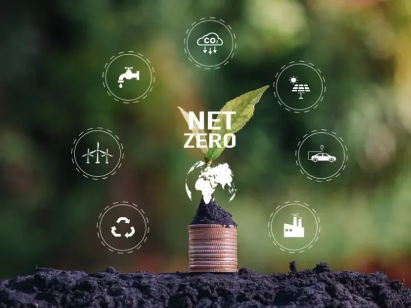 Sản phẩm Vai tro cua Net Zero trong bao ve moi truong — Bao Bì Giấy Mai Thư - Công Ty Cổ Phần Bao Bì Mai Thư — MST 0302177349