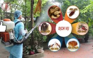 Sản phẩm 3 300x188 — Trừ Mối Khử Trùng Hải Long - Công Ty TNHH Thương Mại Dịch Vụ Trừ Mối Khử Trùng
Hải Long — MST 0302193855