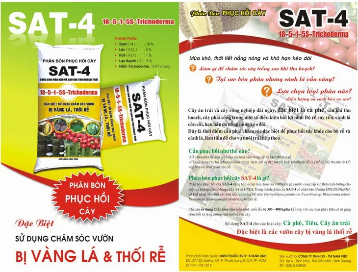 Sản phẩm BROCHUE_PHANBON — Bao Bì Tân Đại Thịnh - Công Ty TNHH Sản Xuất Thương Mại Dịch Vụ Tân Đại Thịnh — MST 0302210437