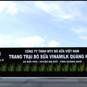 Sản phẩm trang trai bo sua vinamilk quang ngai 04 49a9a575 — Công Ty TNHH Sản Xuất Nhựa Và Thương Mại Thông Hưng — MST 0302211712