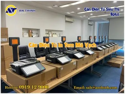 Sản phẩm 196391511090 — Công Ty Cổ Phần Giải Pháp Thương Mại An Thịnh — MST 0302240632