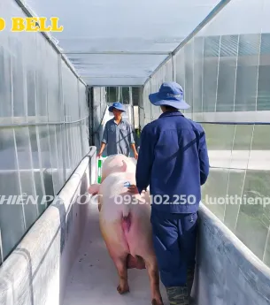 Sản phẩm 4481829268439560877520897133560686637268103n 6755 — Công Ty TNHH Sản Xuất Và Thương Mại Thiên Phước — MST 0302280709