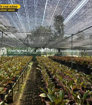 Sản phẩm 701052511893563173 7238 — Công Ty TNHH Sản Xuất Và Thương Mại Thiên Phước — MST 0302280709