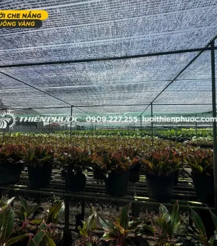 Sản phẩm 901052511900229839 1725 — Công Ty TNHH Sản Xuất Và Thương Mại Thiên Phước — MST 0302280709