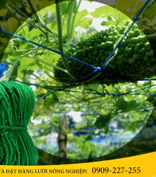 Sản phẩm cuon luoi gian day leo 900x600 7855 — Công Ty TNHH Sản Xuất Và Thương Mại Thiên Phước — MST 0302280709
