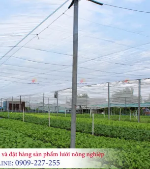 Sản phẩm nha luoi don gian 9970 — Công Ty TNHH Sản Xuất Và Thương Mại Thiên Phước — MST 0302280709