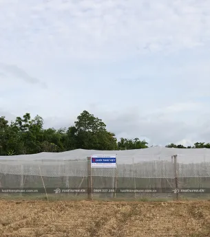 Sản phẩm thi cong nha luoi chan ruoi vang o ninh thuan 1 6150 — Công Ty TNHH Sản Xuất Và Thương Mại Thiên Phước — MST 0302280709