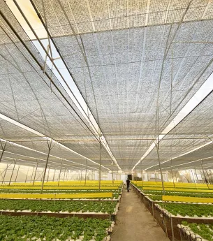 Sản phẩm trang chu9 5810 — Công Ty TNHH Sản Xuất Và Thương Mại Thiên Phước — MST 0302280709