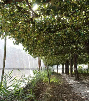 Sản phẩm vi sao nen su dung luoi chong con trung de trong tao 2 8039 — Công Ty TNHH Sản Xuất Và Thương Mại Thiên Phước — MST 0302280709